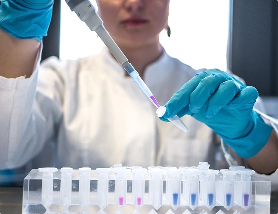 Laboratory