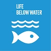 Life-Below
